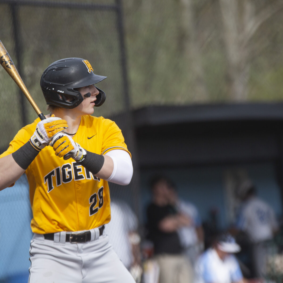 PUP baseball notebook: No growing pains for unbeaten North Allegheny despite major roster turnover