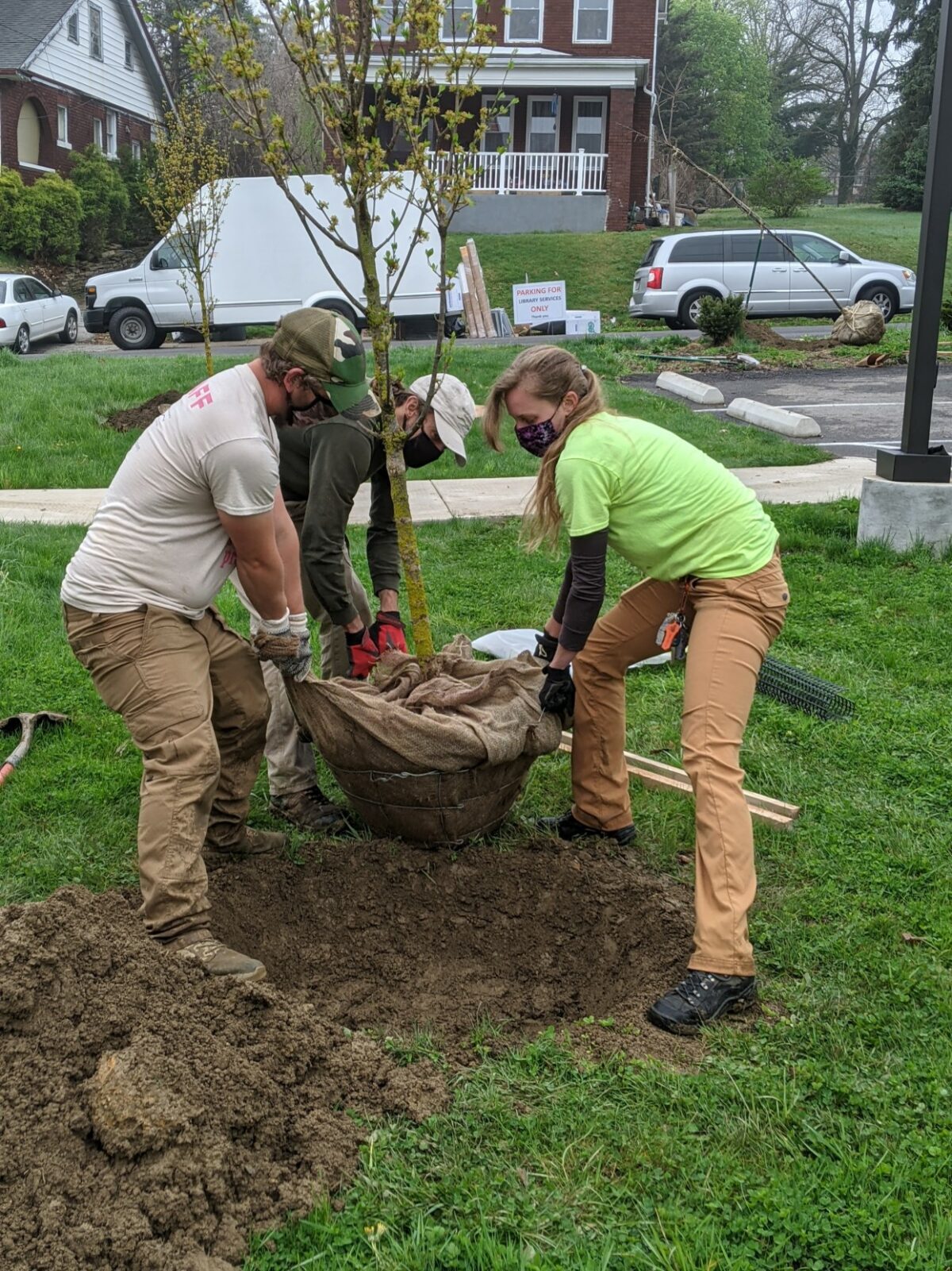 McKeesport Community Greening Project will do more than plant more ...